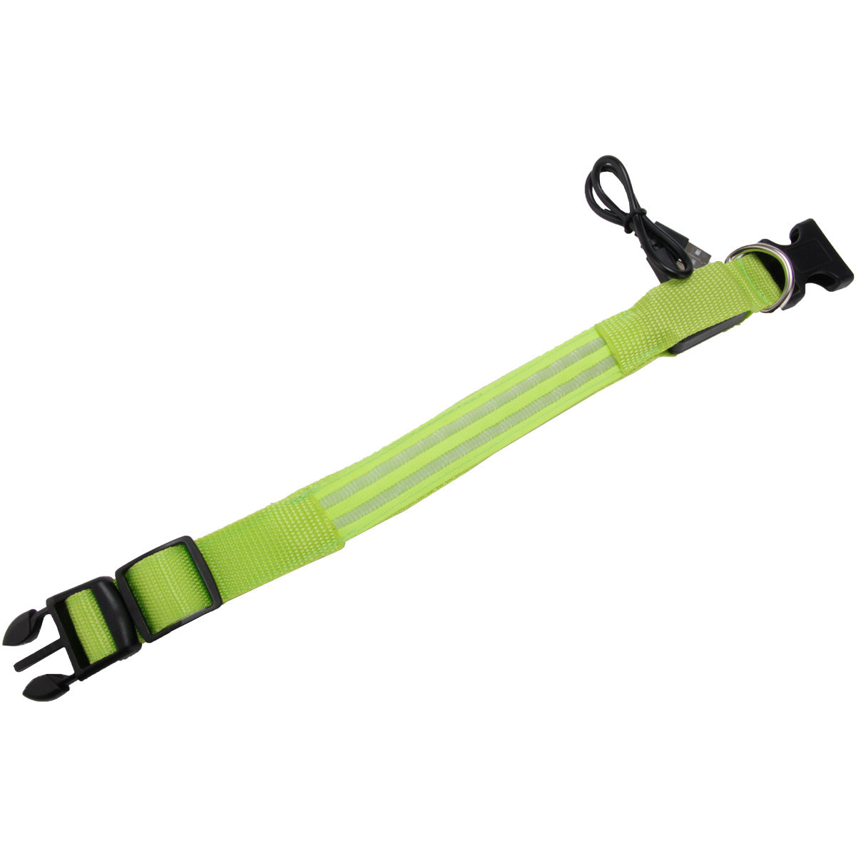 Rechargeable LED dog collar – high-visibility, USB charging, and waterproof for safe night walks