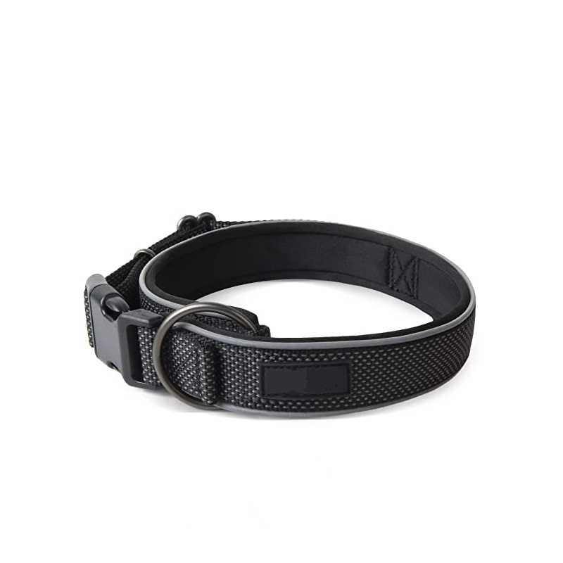 Ultra-soft padded dog collar – secure, stylish, and comfortable for all-day wear